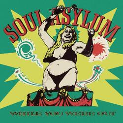 Soul Asylum While You Were Out Vinyl LP