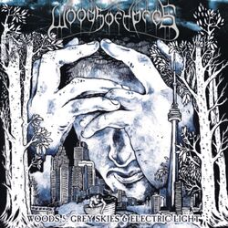Woods Of Ypres Woods 5: Grey Skies & Electric Light VINYL LP