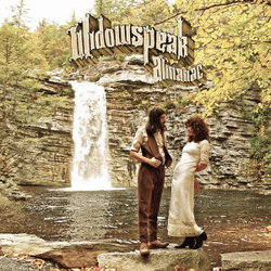 Widowspeak Almanac VINYL LP