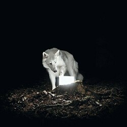 Vanishing Life Surveillance VINYL LP