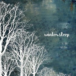 Wintersleep Wintersleep Vinyl LP