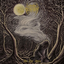 Woods Of Desolation As The Stars VINYL LP