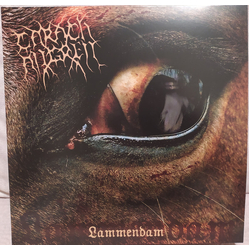 Carach Angren Lammendam VINYL 2 LP ORANGE & BLACK MARBLED