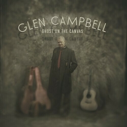 Glen Campbell Ghost On The Canvas PICTURE DISC DL CARD VINYL LP