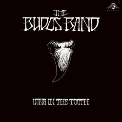 Budos Band Long In The Tooth (Dl Card) VINYL LP
