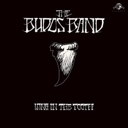 Budos Band Long In The Tooth (Dl Card) Vinyl LP