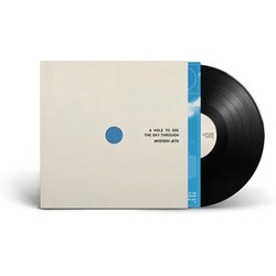 Mystery Jets Hole To See The Sky Through VINYL LP