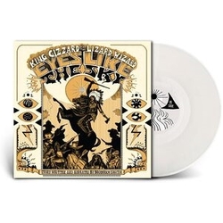 King Gizzard & The Lizard Wizard Eyes Like The Sky INJECTION MOLDED PET ECOSONIC VINYL CLEAR VINYL LP