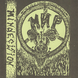 -£-Ÿ-Á Mindecision VINYL LP
