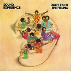Sound Experience Don'T Fight The Feeling 2 VINYL LP REISSUE