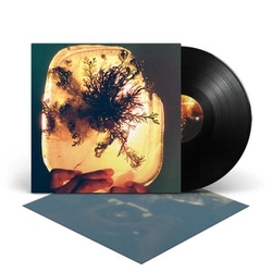 L'Rain Fata Morgana VINYL LP