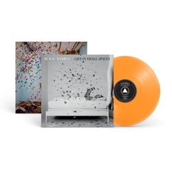 Black Marble Life In Small Spaces VINYL LP