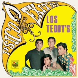 Los Teddy'S Doce Psicoexitos VINYL LP