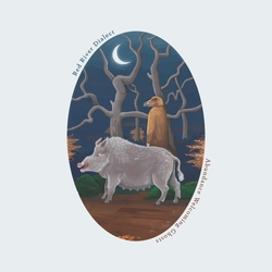 Red River Dialect Abundance Welcoming Ghosts GHOST WHITE VINYL LP