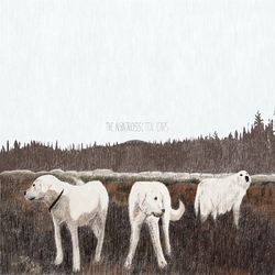 Foxing Albatross: Ten Years BROWN VINYL LP