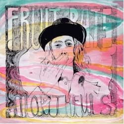 Fruit Bats Mouthfuls MINT GREEN VINYL LP