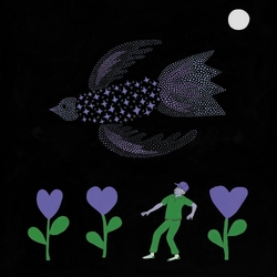 Bonnie Prince Billy Purple Bird VINYL LP