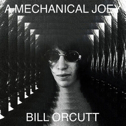 Bill Orcutt Mechanical Joey VINYL LP