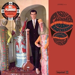 Bill Plummer Bill Plummer & The Cosmic Brotherhood VINYL LP