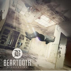 Beartooth Disgusting Vinyl LP
