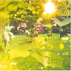 Essex Green Everything Is Green VINYL LP