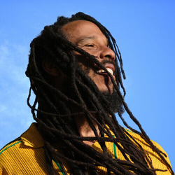Ziggy Marley Brightside VINYL LP