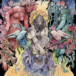Baroness Stone VINYL LP