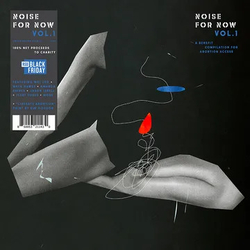 Various Artists Noise For Now: Volume 1 CLEAR VINYL W KIM GORDON DEIGNED LITHO LP