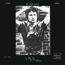 Sunday Painters In My Dreams VINYL LP