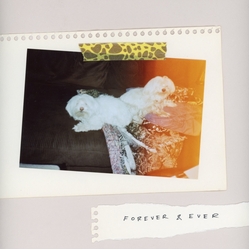 Sales Forever & Ever VINYL LP