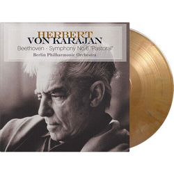 Ludwig Van Beethoven Symphony No.6 Pastoral RECYCLED COLOURED VINYL 180GM LP