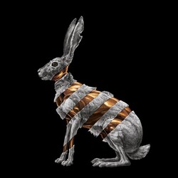 San Fermin Jackrabbit Vinyl LP