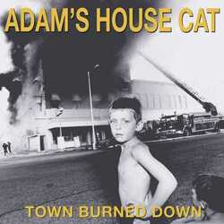 Adam'S House Cat Town Burned Down (Yellow Vinyl LP) Vinyl LP
