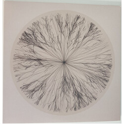 Helios Unomia Vinyl LP