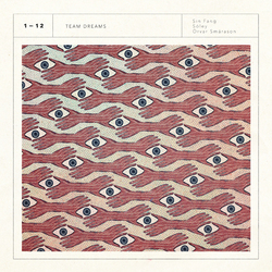 Soley & Orvar Smarason Sin Fang Team Dreams VINYL LP