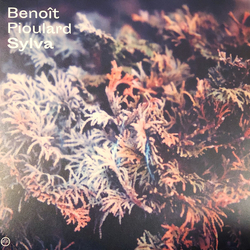Benoit Pioulard Sylva VINYL LP