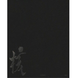 Xg Vinyl Ver. VINYL LP
