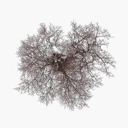 John Metcalfe Tree VINYL LP