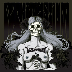 Nachtmystium Assassins - Black Meddle Pt. I VINYL LP