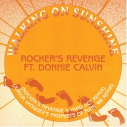 Rocker'S Revenge Feat. Donnie Calvin Walking On Sunshine YARD ACT REMIX JUNIOR VASQUEZ REMIX VINYL LP
