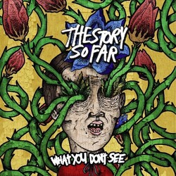 Story So Far What You Don'T See Vinyl LP