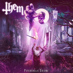 Them Psychedelic Enigma 2 VINYL LP