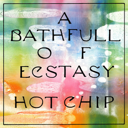 Hot Chip Bath Full Of Ecstasy (Dl Card/2 LP) Vinyl LP