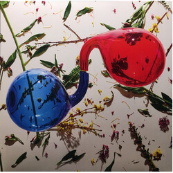 Dirty Projectors Lamp Lit Prose