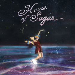Alex G House Of Sugar Vinyl LP