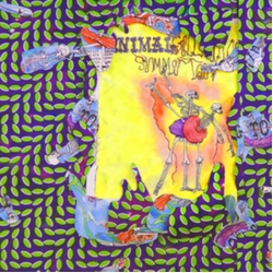 Animal Collective Ballet Slippers 3 VINYL LP
