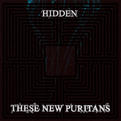 These New Puritans Hidden MMXX DL CARD VINYL LP