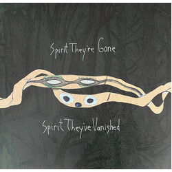 Animal Collective Spirit They're Gone Spirit They've Vanished Vinyl 2 LP