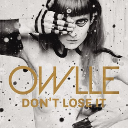 Owlle Don'T Lose It: Remix Vinyl LP