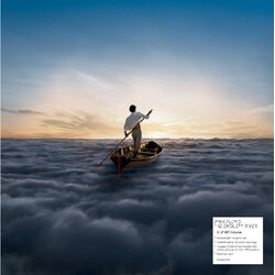 Pink Floyd Endless River (2 LP/180G/Dl Card/Gatefold) VINYL LP